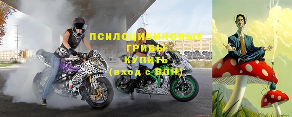 стаф Киренск