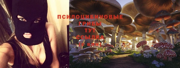 амф Армянск
