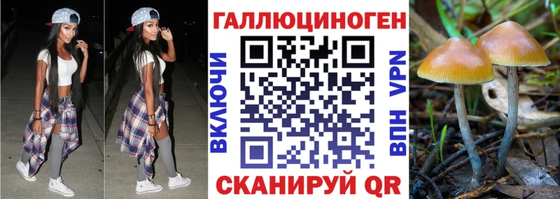 мега ссылка Певек Псилоцибиновые грибы MAGIC MUSHROOMS
